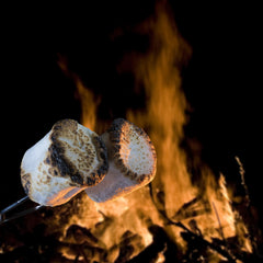 Marshmallow Campfire Soy Candle Tin