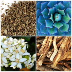 Bon Secour Soy Wax Melts